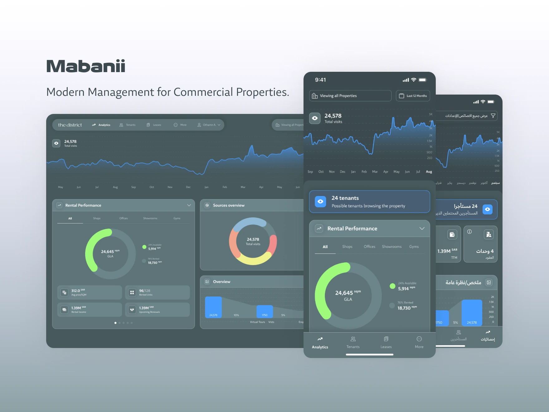 Portfolio overview across desktop, mobile and Arabic layouts.